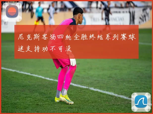 尼克斯客场四轮全胜终结系列赛球迷支持功不可没